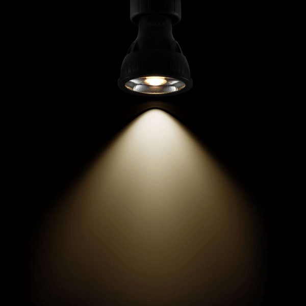 SEG 55756 3 - Oann.nl