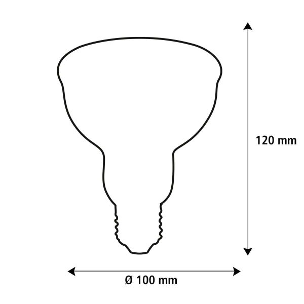 SEG 55768 7 - Oann.nl