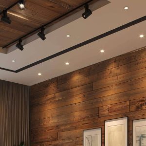 LED PAR30 Reflector Ambient Dimming - Afbeelding 6