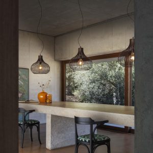 Onion Sp1 - sfeerbeeld