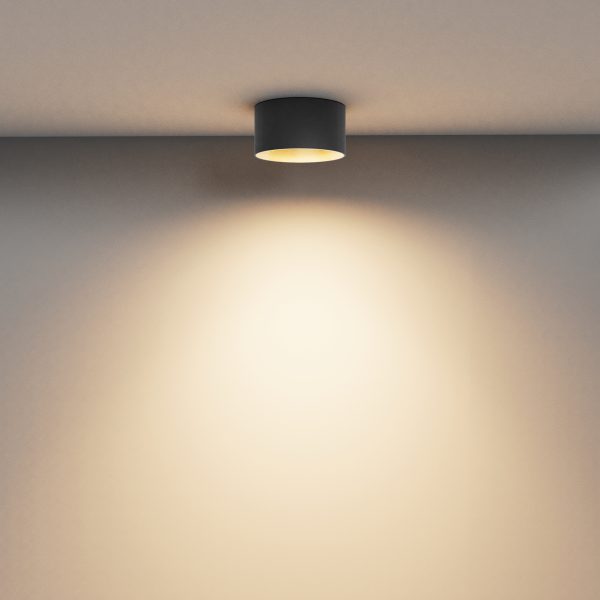 C089CL plafondlamp borstelig mat goud zijaanzicht