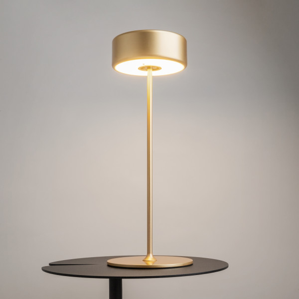 Oplaadbare lamp AI Collaboration Goud detail - OANN